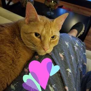 Meet your Posher, Jodi